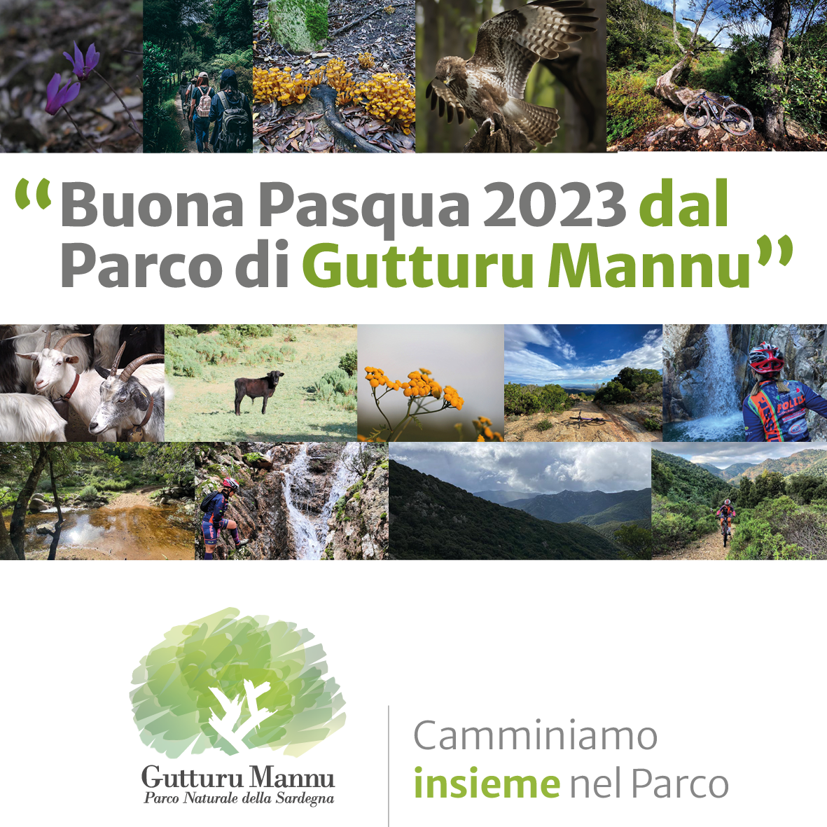 Buona Pasqua 2023 Dal Parco Di Gutturu Mannu Gutturu Mannu Parco Naturale Della Sardegna 4841